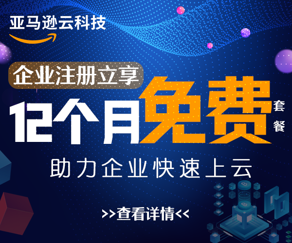 亚马逊云科技12个月免费套餐