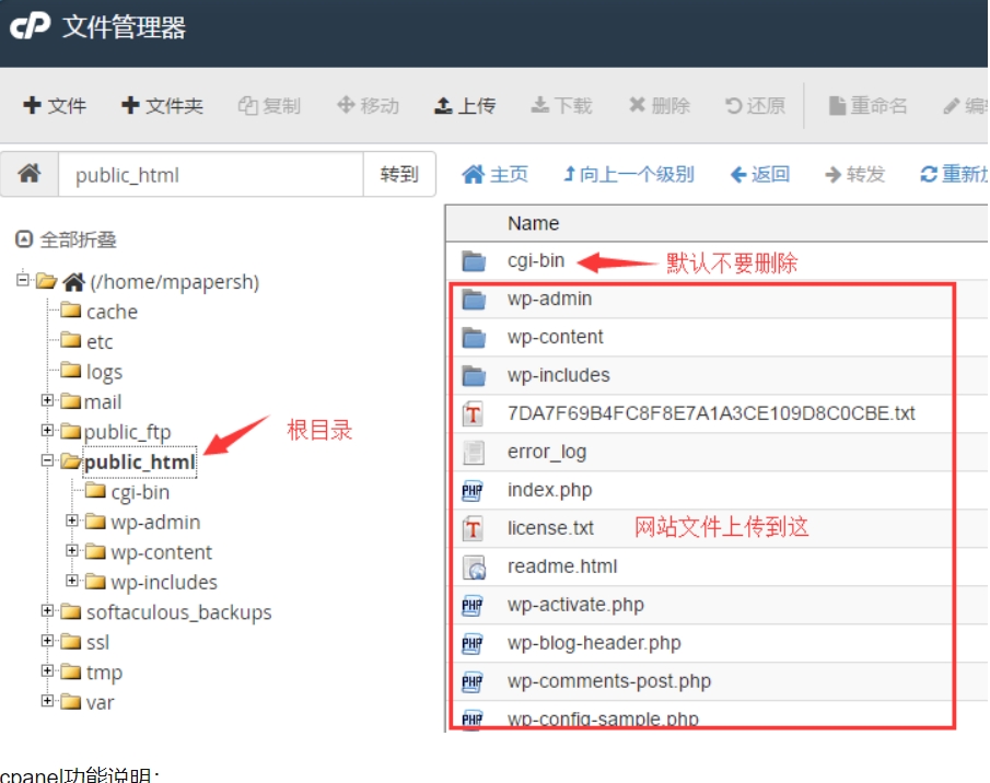 Cpanel控制面板文件管理器