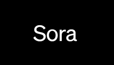 Sora功能