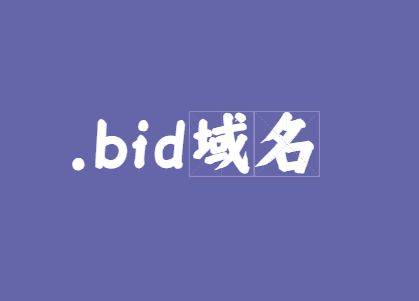 .bid域名