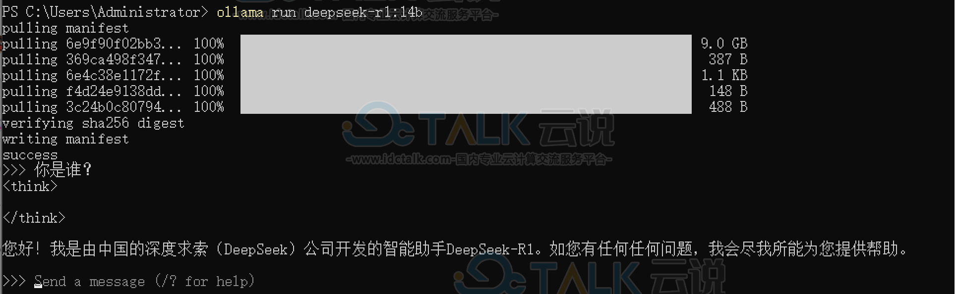 DeepSeek