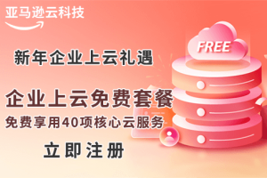 亚马逊云科技