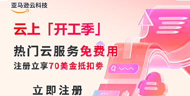 亚马逊云科技