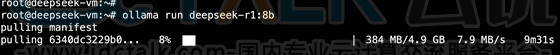 运行DeepSeek模型