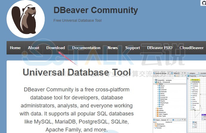 DBeaver