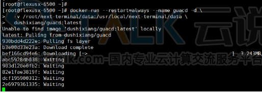 Next Terminal