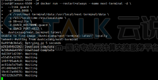 Next Terminal