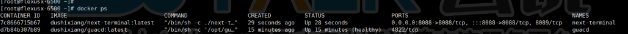 Next Terminal