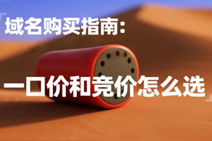 一口价和竞价怎么选