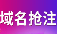 老域名抢注工具怎么用